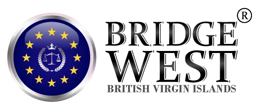 BVI License
